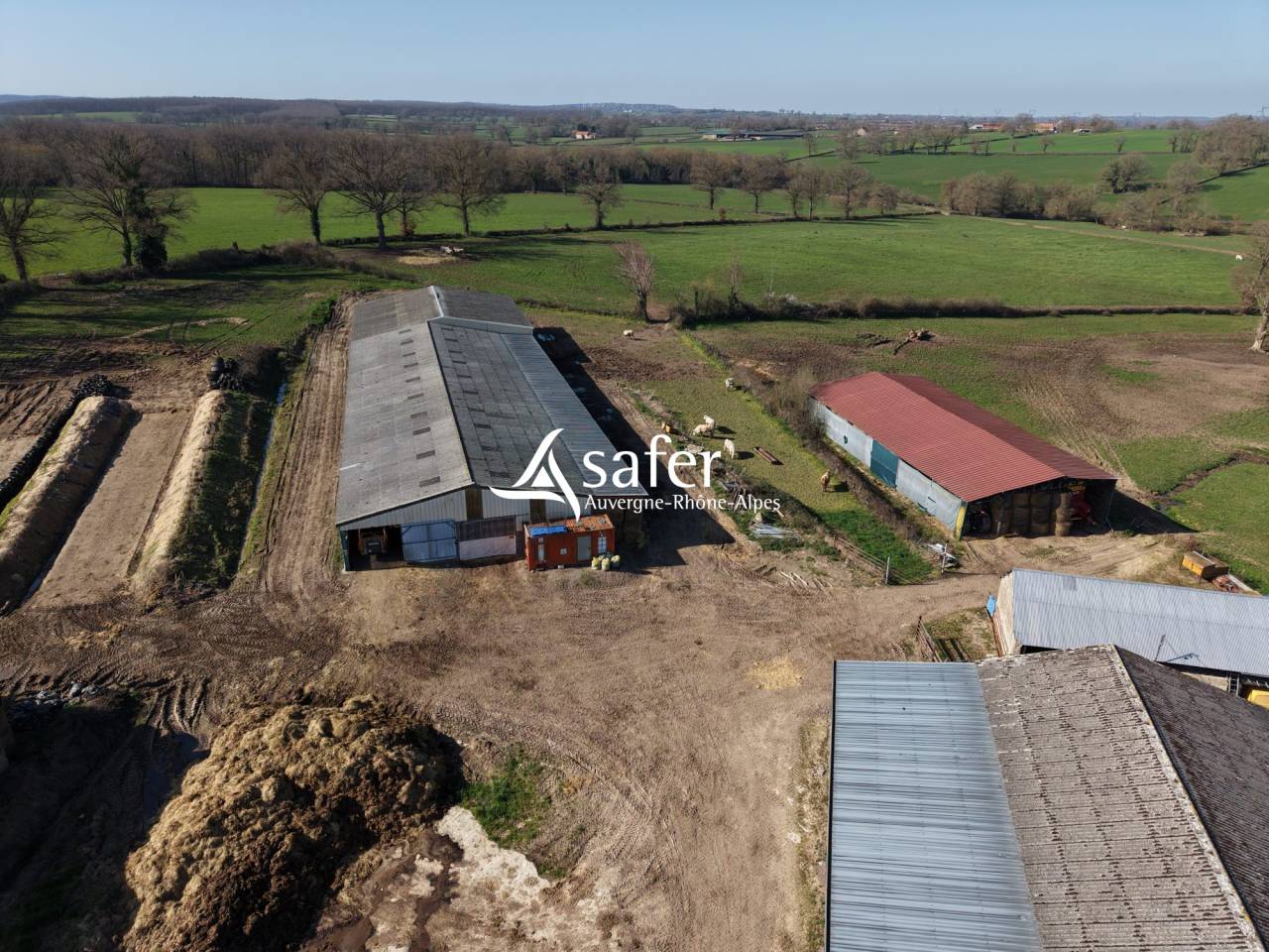 Azienda avicola In vendita Allier