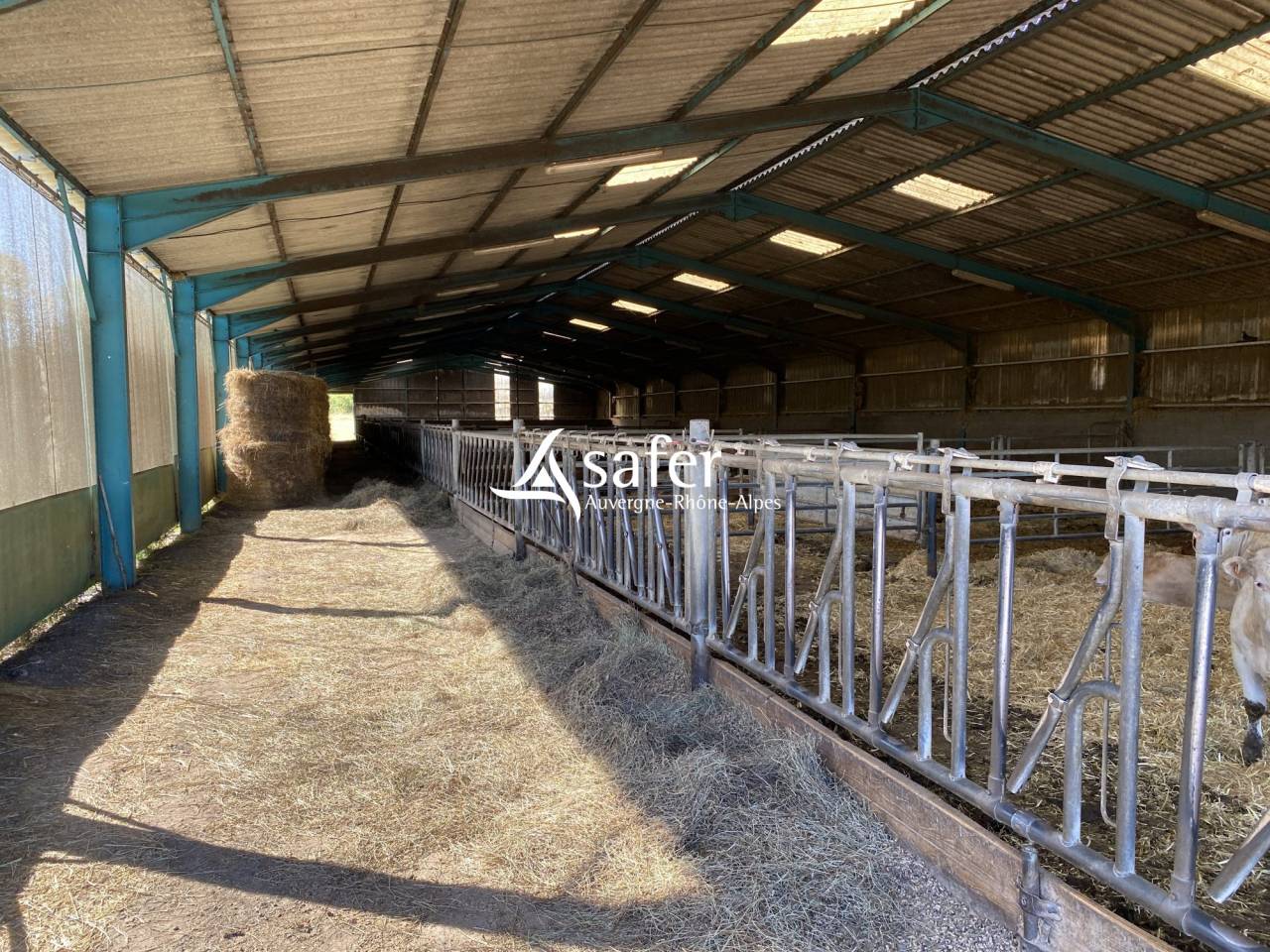 Azienda avicola In vendita Allier