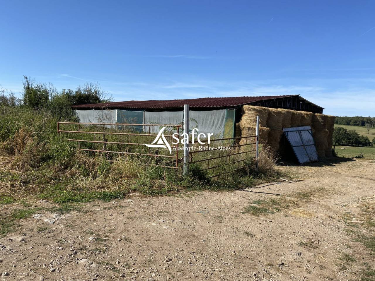 Azienda avicola In vendita Allier