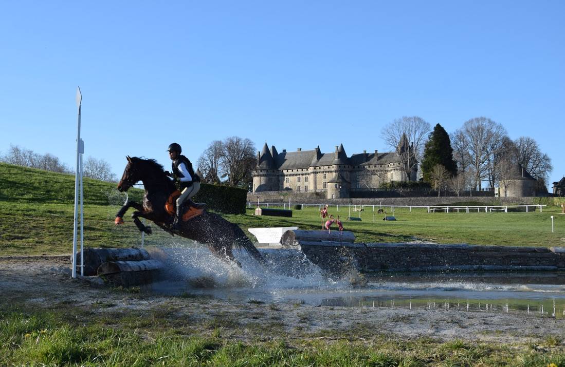 Castrone Connemara In vendita 2012 Baio scuro ,  Vador Shadow du Gite, CO