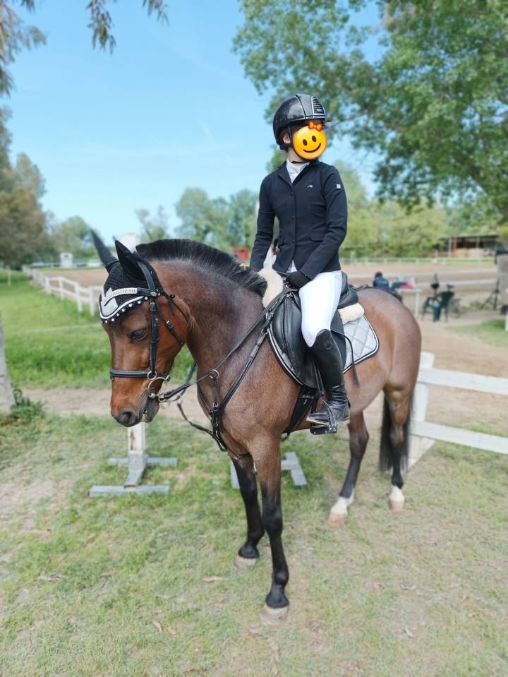 Pony roano maschio 2017 salto ostacoli