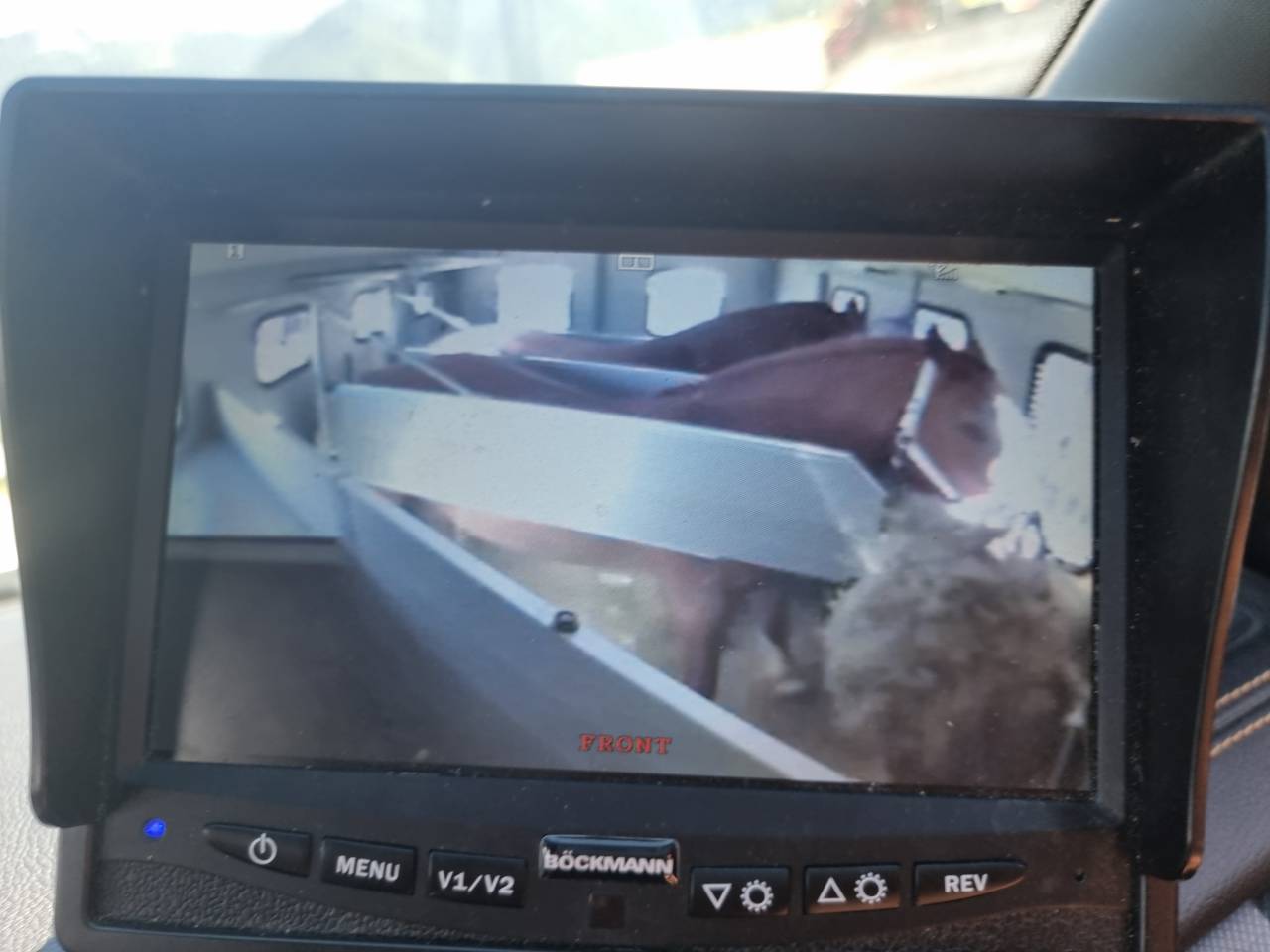 Trailer Bockmann Traveller G3 3 Cavalli 2018 Occasione