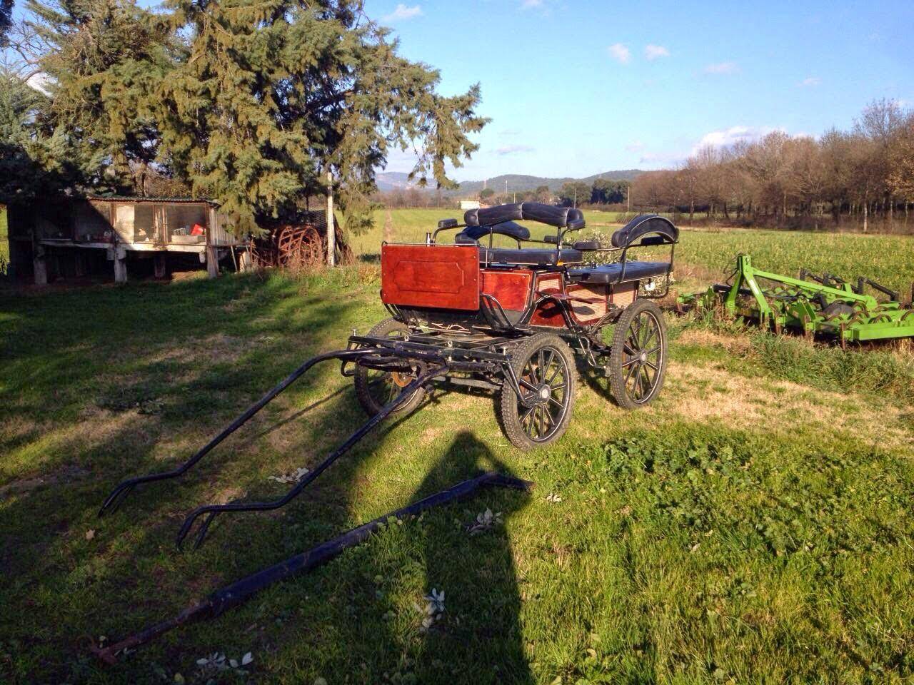 Carrozza per cavalli da passeggio e cerimonia &ndash; 4 posti