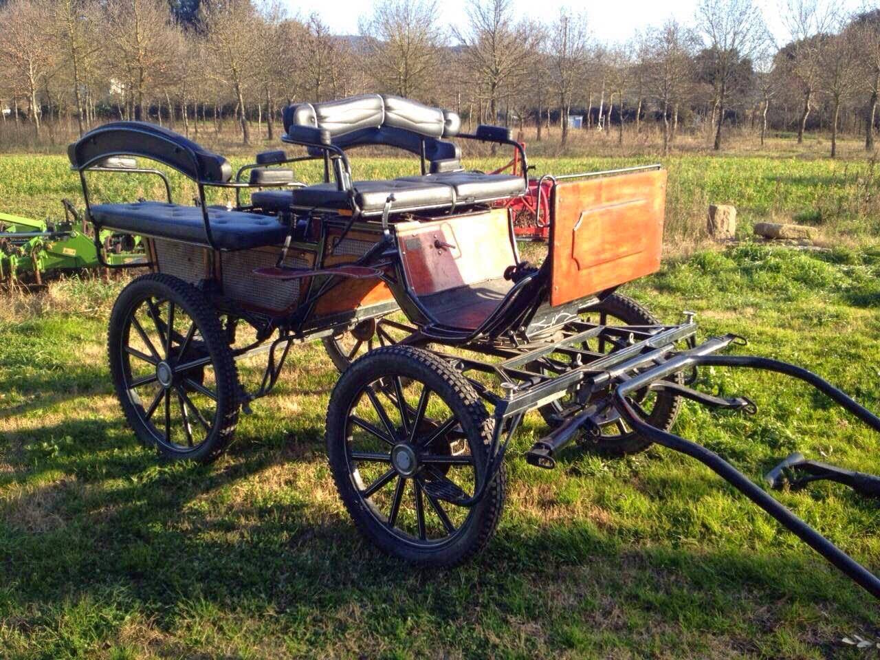 Carrozza per cavalli da passeggio e cerimonia &ndash; 4 posti