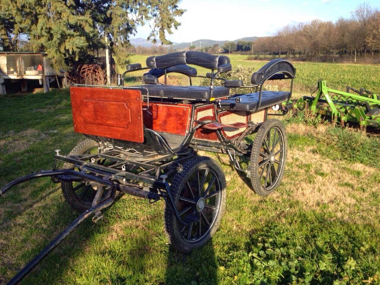 Carrozza per cavalli da passeggio e cerimonia &ndash; 4 posti