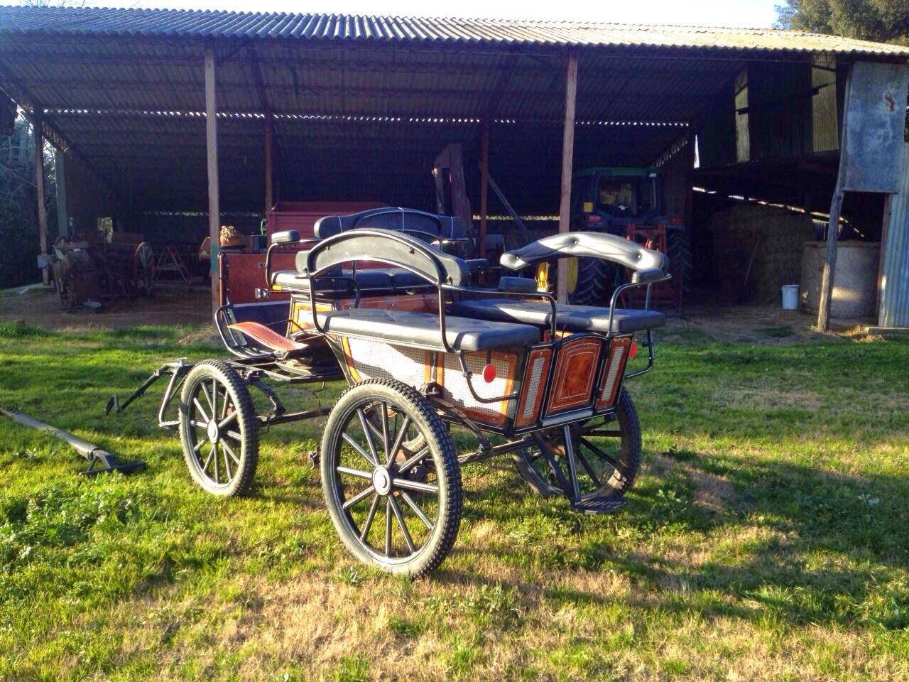 Carrozza per cavalli da passeggio e cerimonia &ndash; 4 posti
