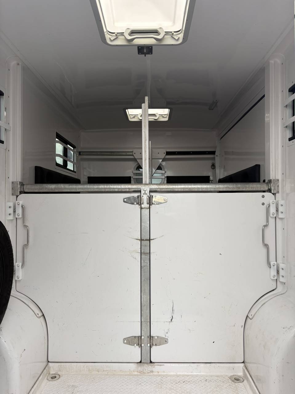 Van per Cavalli Barbot master 2024 Occasione