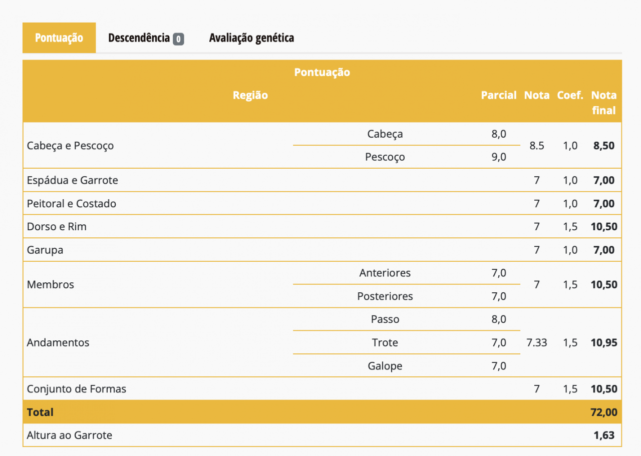 Cavalla Lusitano In vendita 2021 Grigio ,  Furacao II Sernadin