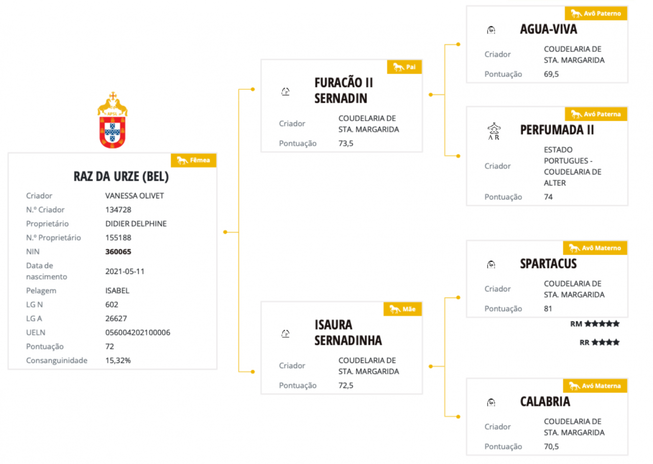 Cavalla Lusitano In vendita 2021 Grigio ,  Furacao II Sernadin