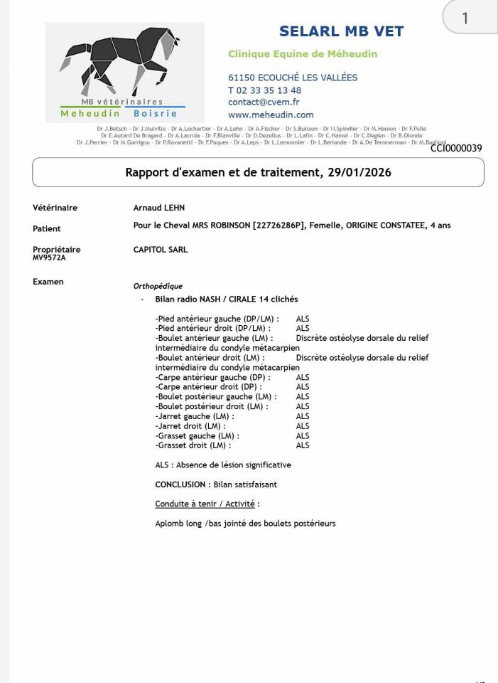 Cavalla Origine non conosciuta  In vendita 2022 Grigio ,  IMA BOSS