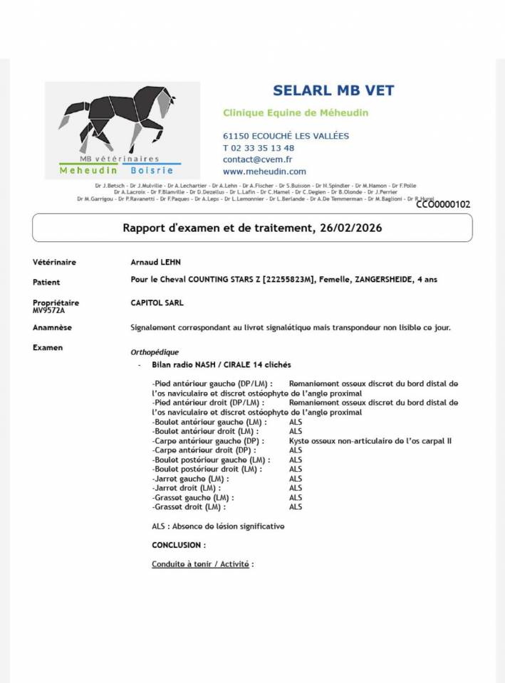 Cavalla Zangersheide In vendita 2022 Baio ,  CANTURO