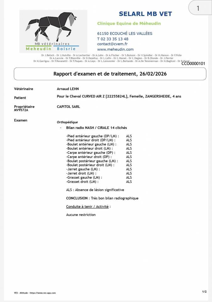 Cavalla Zangersheide In vendita 2022 Baio ,  CANTURO