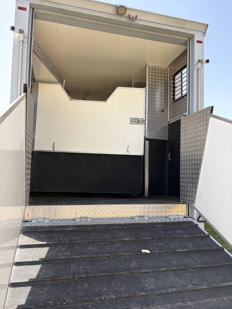 Camion per Cavalli Renault  2001 Occasione