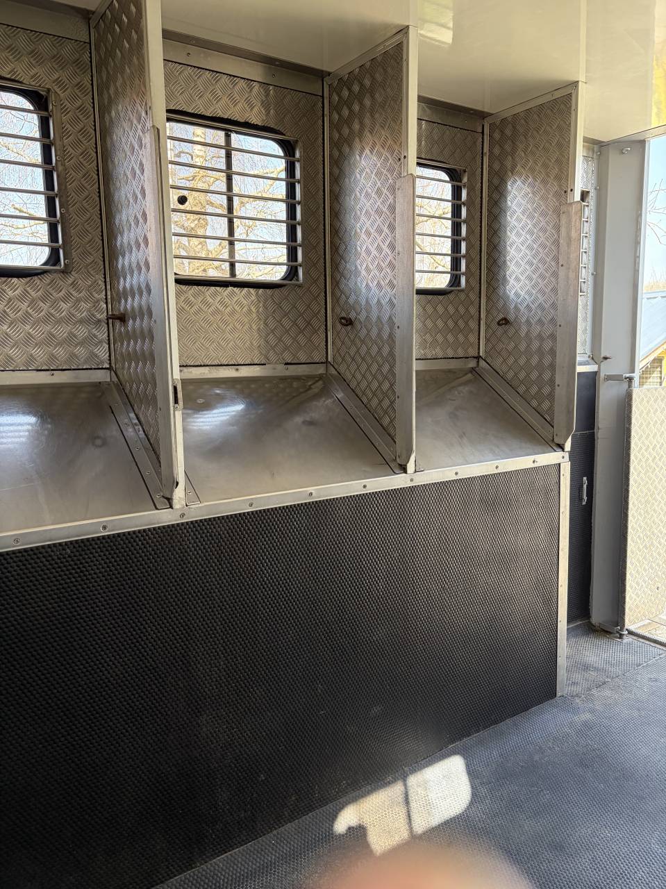 Camion per Cavalli Renault  2001 Occasione