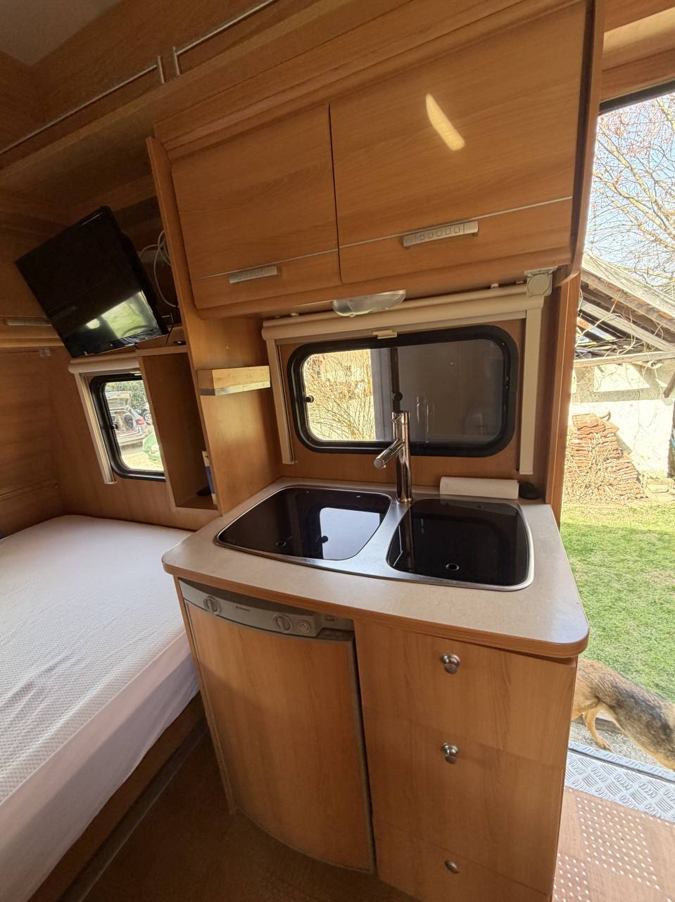 Camion per Cavalli Renault  2001 Occasione