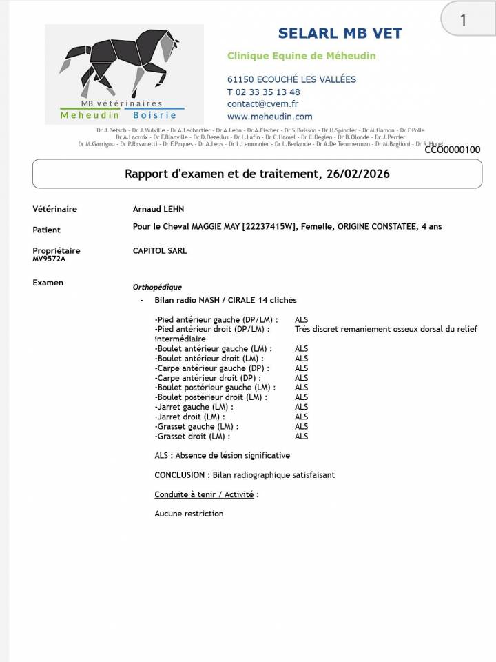 Cavalla Origine non conosciuta  In vendita 2022 Grigio ,  CONTIUUM