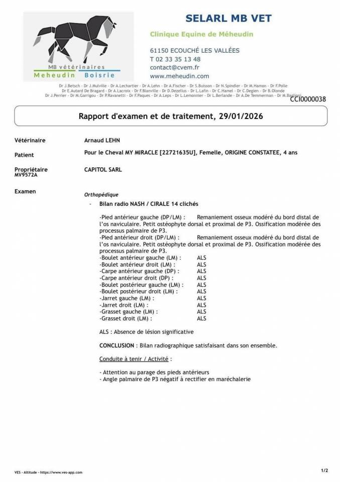 Cavalla Origine non conosciuta  In vendita 2022 Baio ,  CRAZY COOL DU GAZON Z