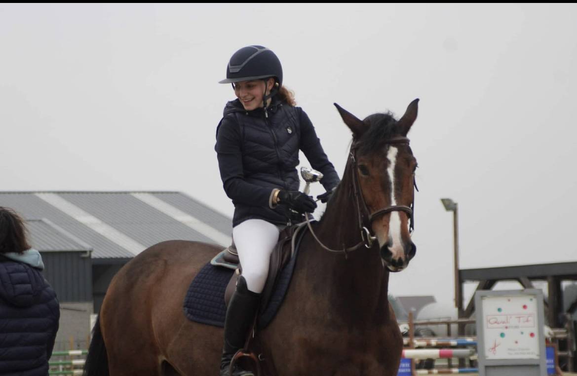 Cavalla KWPN Cavallo da Sport Neerlandese In vendita 2010 Baio