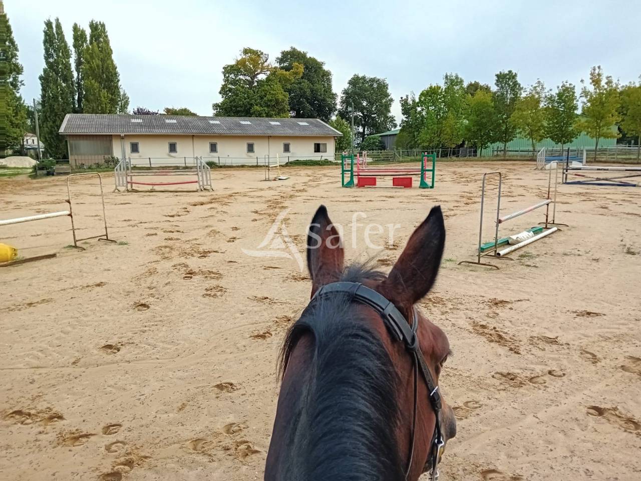 Propriet&agrave; equestre In vendita Charente-Maritime