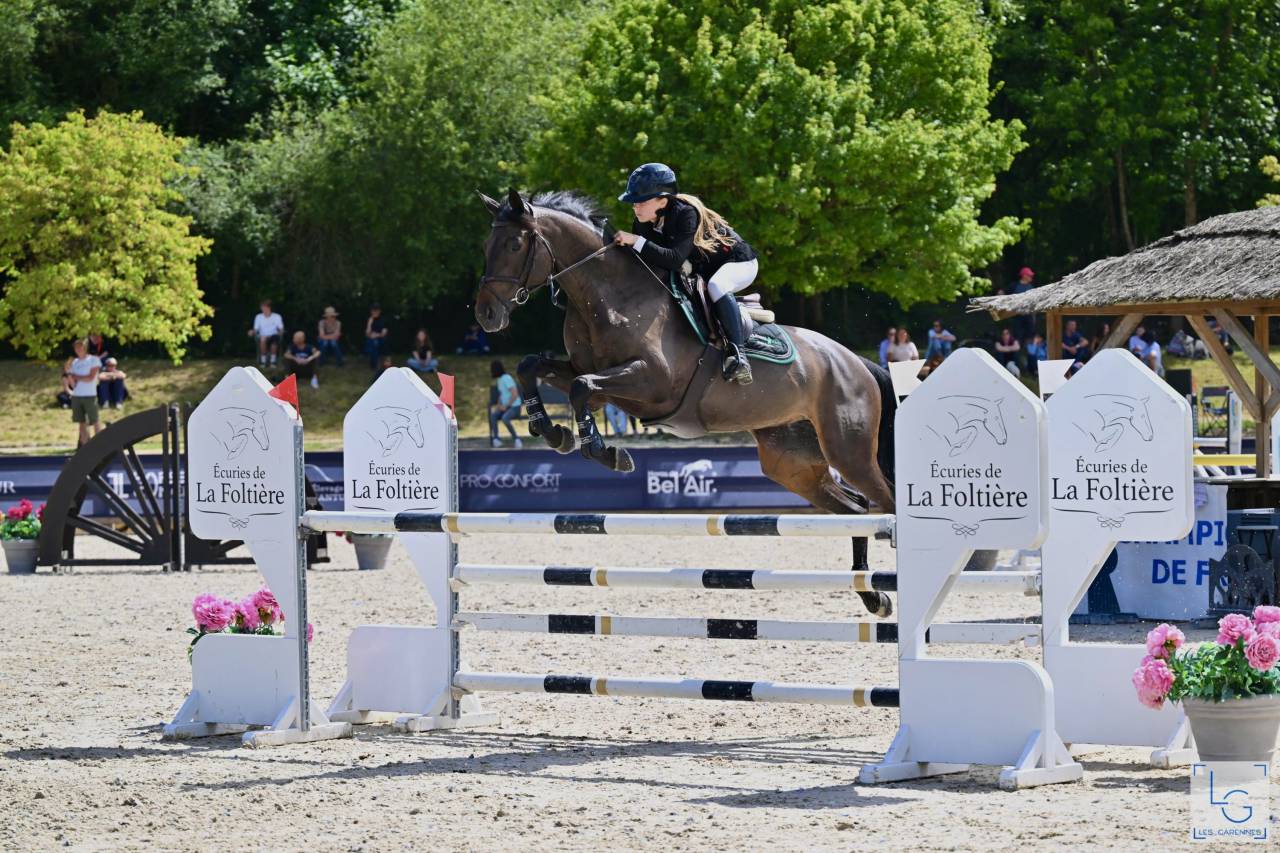 Cavalla Trakehner In vendita 2016 Nero ,  SIR SANSIBAR