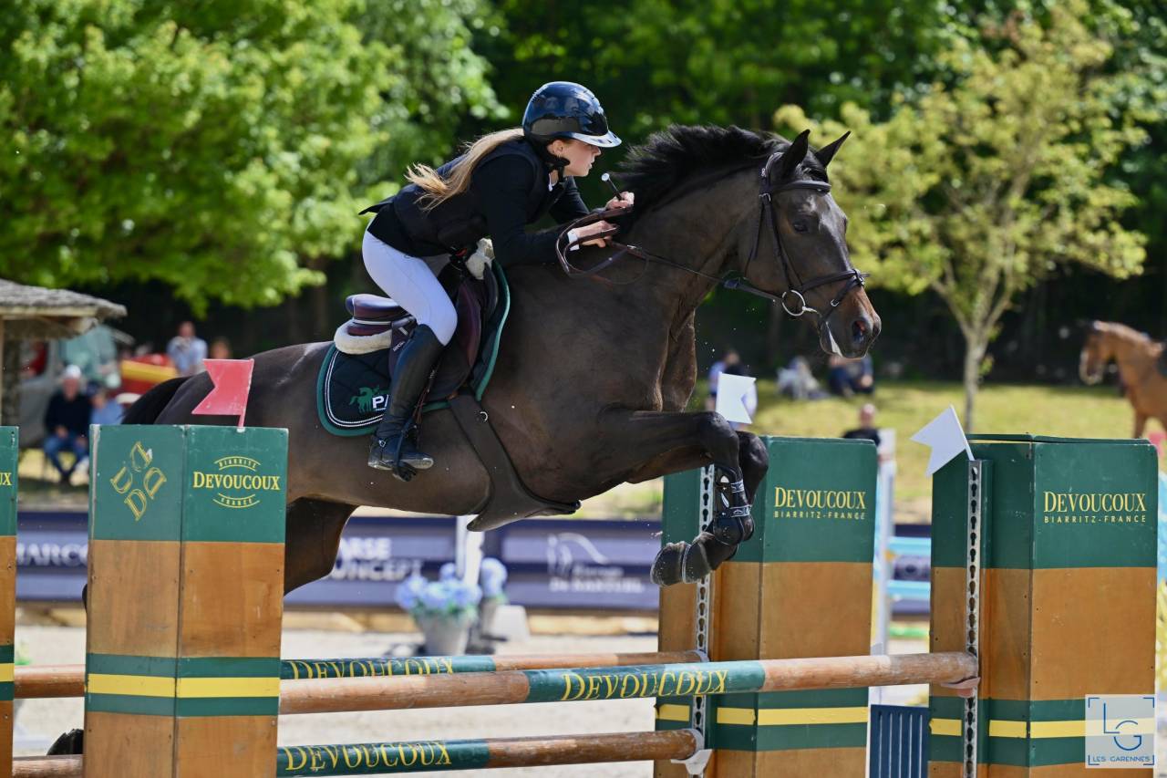 Cavalla Trakehner In vendita 2016 Nero ,  SIR SANSIBAR