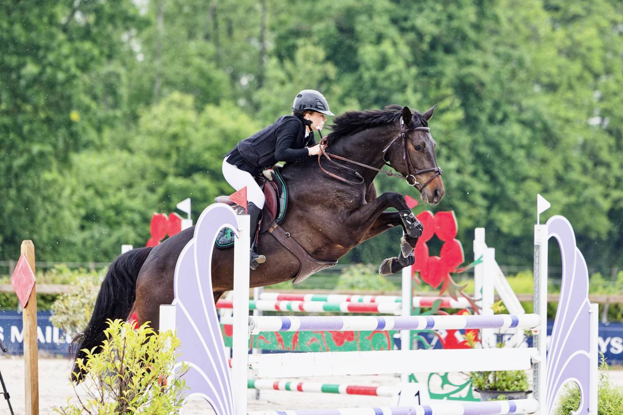 Cavalla Trakehner In vendita 2016 Nero ,  SIR SANSIBAR