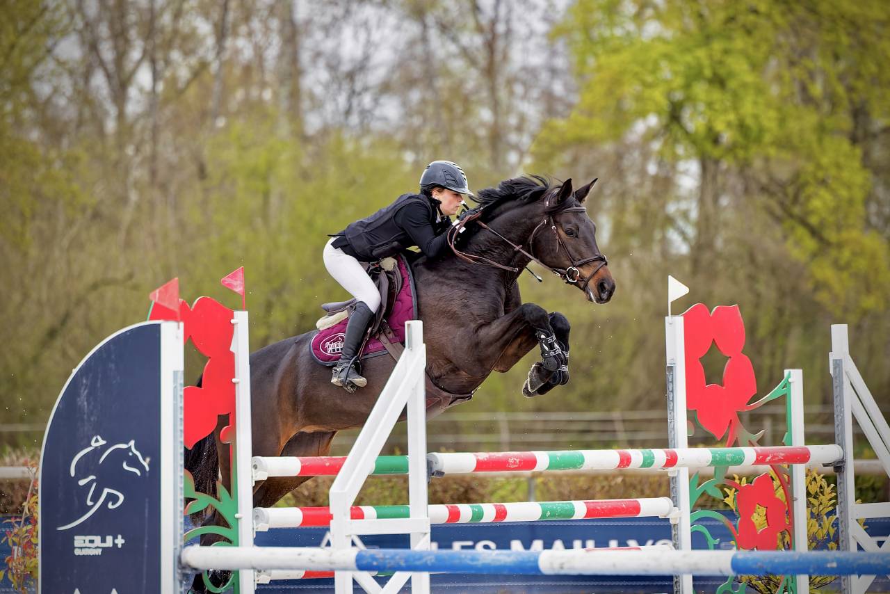 Cavalla Trakehner In vendita 2016 Nero ,  SIR SANSIBAR