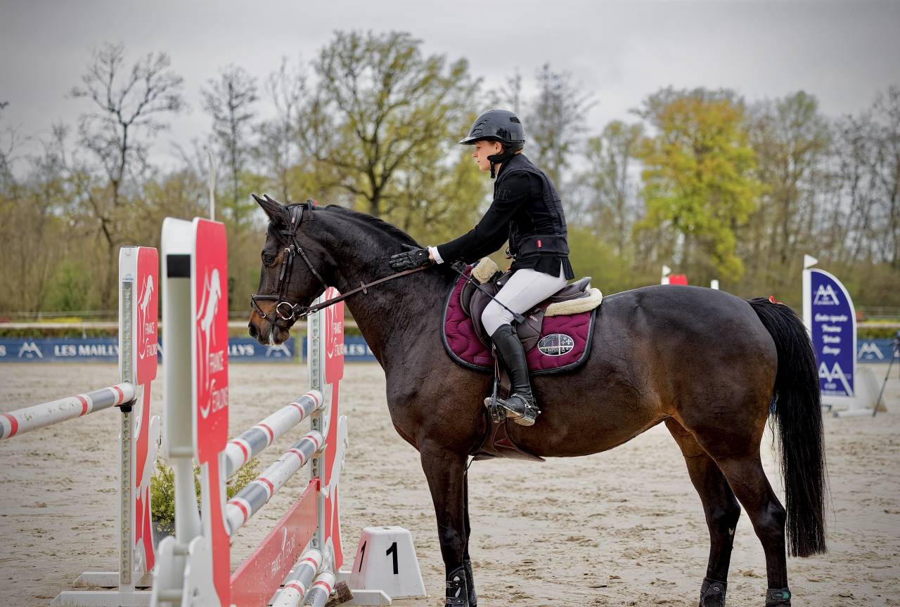 Cavalla Trakehner In vendita 2016 Nero ,  SIR SANSIBAR