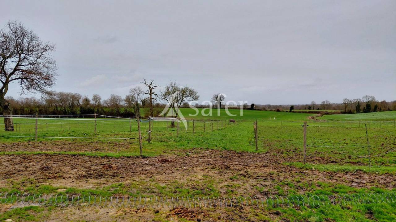 Propriet&agrave; equestre In vendita Deux-S&egrave;vres