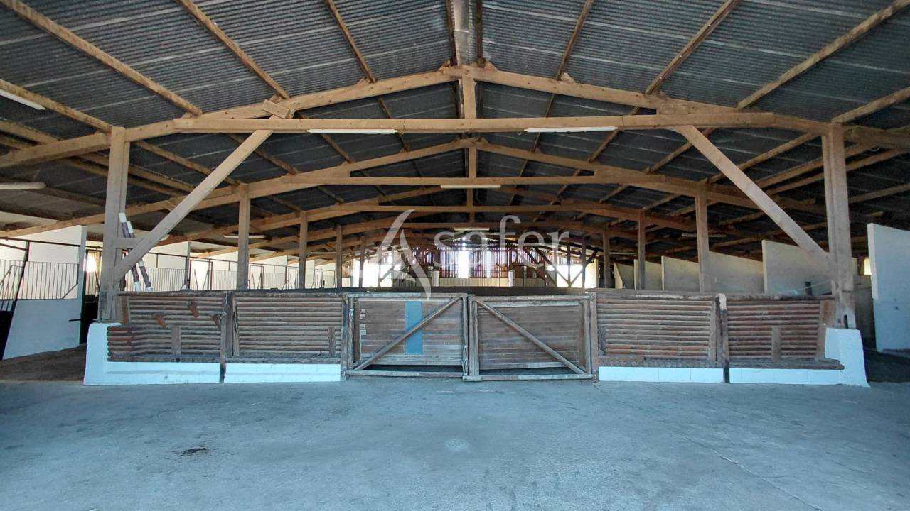 Propriet&agrave; equestre In vendita Deux-S&egrave;vres