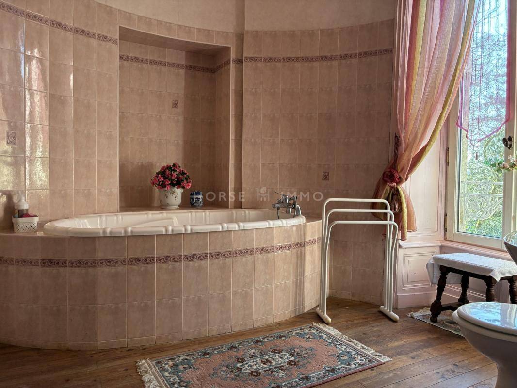 Bella dimora equestre In vendita Vend&eacute;e