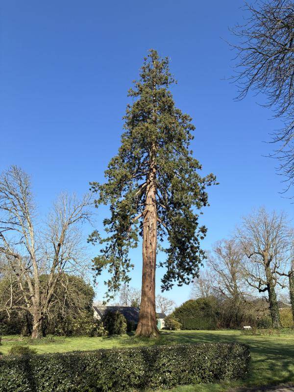 Bella dimora equestre In vendita Vend&eacute;e