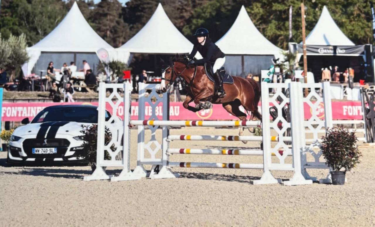 Cavalla PFS Pony Francese da Sella In vendita 2019 Baio