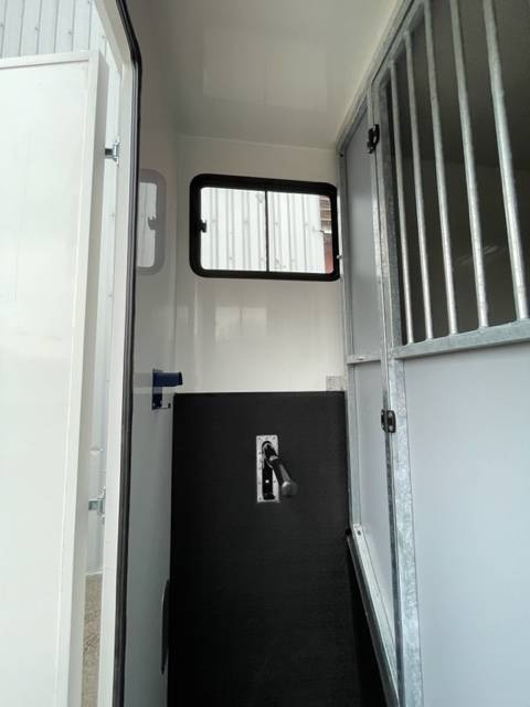 Van per Cavalli Renault MASTER 2021 Nuovo