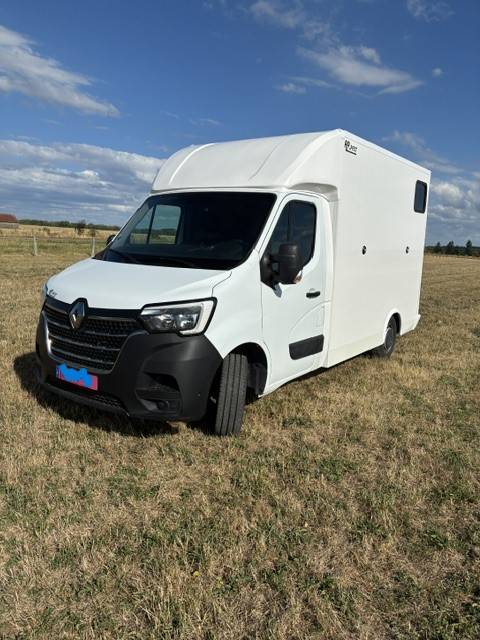 Van per Cavalli Renault MASTER 2021 Nuovo