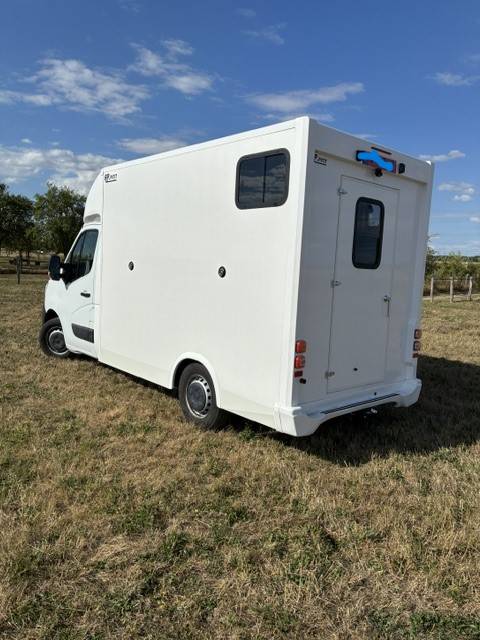Van per Cavalli Renault MASTER 2021 Nuovo