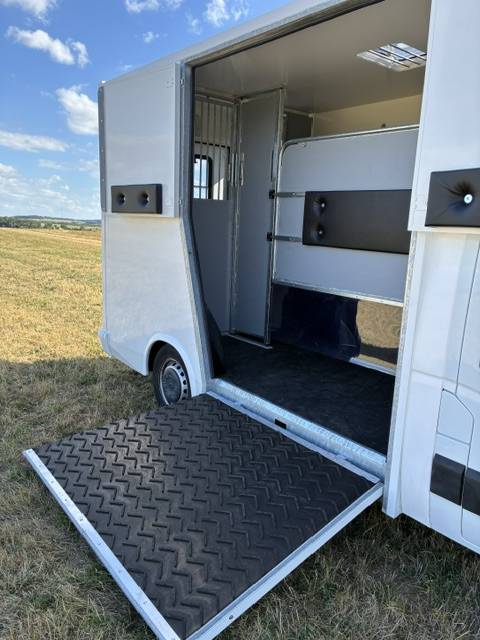 Van per Cavalli Renault MASTER 2021 Nuovo