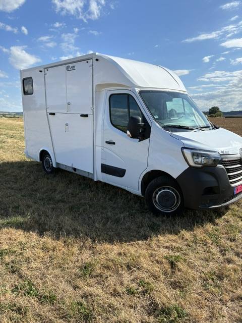 Van per Cavalli Renault MASTER 2021 Nuovo