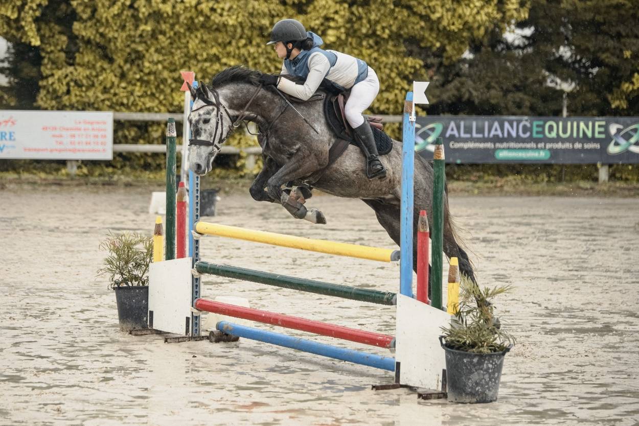 Castrone Origine non conosciuta  In vendita 2017 Grigio ,  ISANDRO TILA WPB