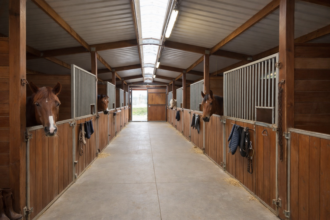 Scuderia per proprietari In vendita Ile-et-Vilaine