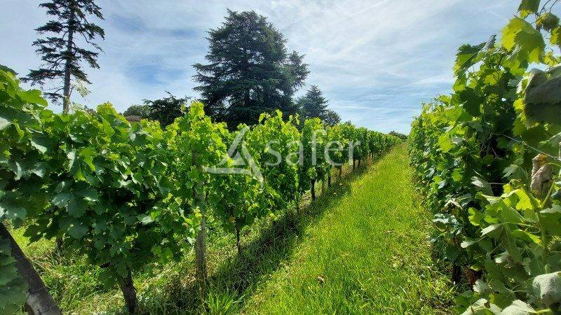 Propriet&agrave; rurale In vendita Gironde