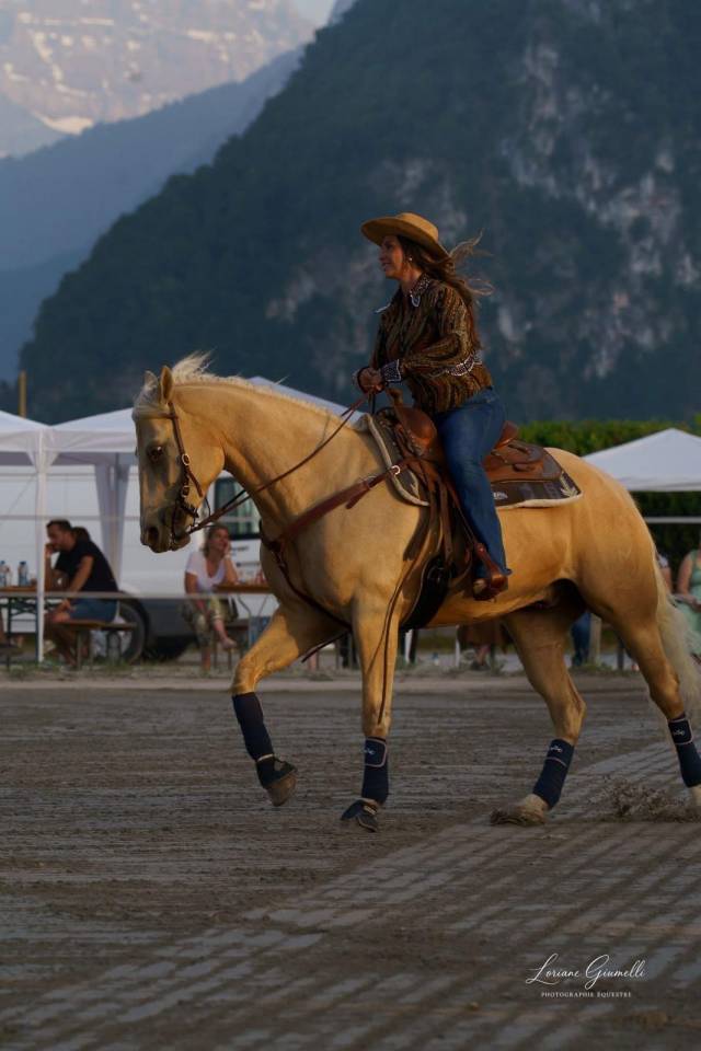 Castrone Quarter Horse In vendita 2020 Palomino