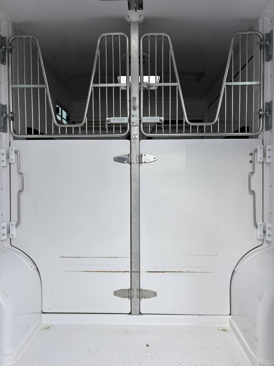 Van per Cavalli Barbot D5 2024 Occasione