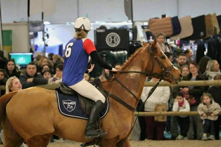 Castrone Purosangue In vendita 2019 Sauro