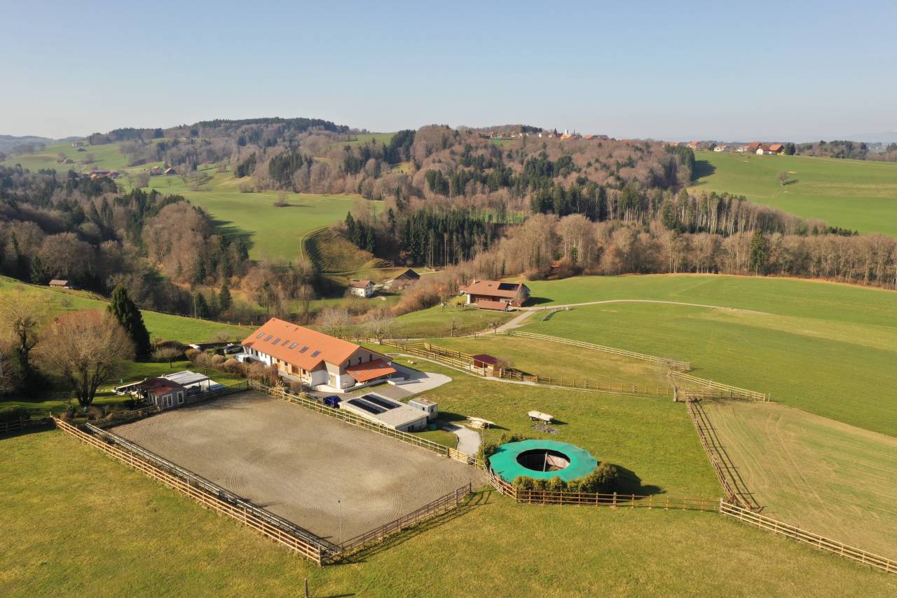 Azienda equestre Noleggio Fribourg
