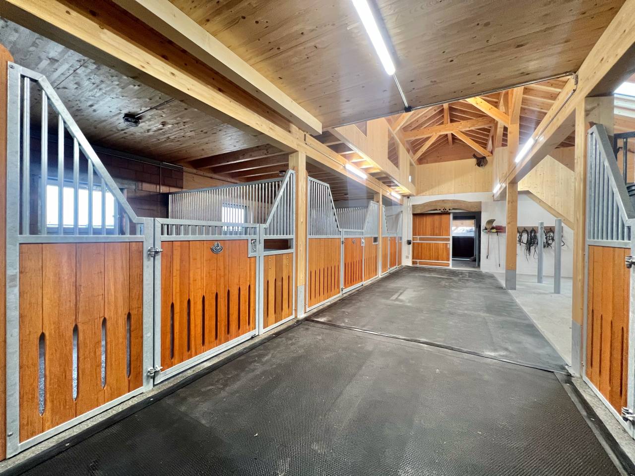 Azienda equestre Noleggio Fribourg