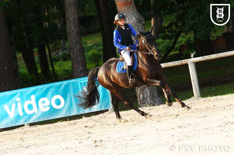 Cavalla Sella Francese In vendita 2012 Nero ,  ESPOIR DU PRIEURE