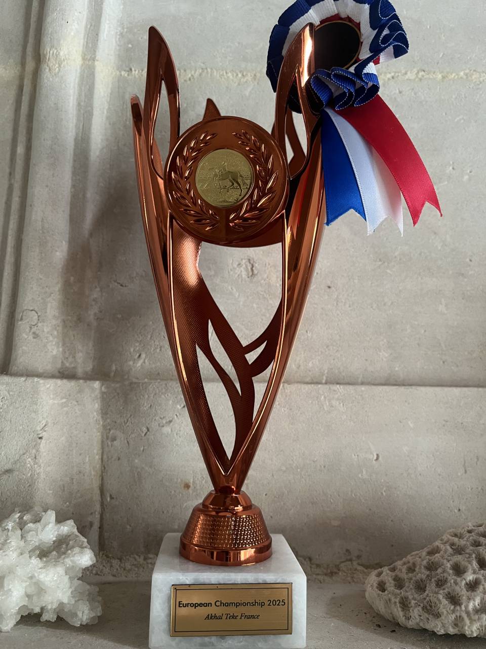 Aydogdy - Akhal Teke 2014 ,  REAL