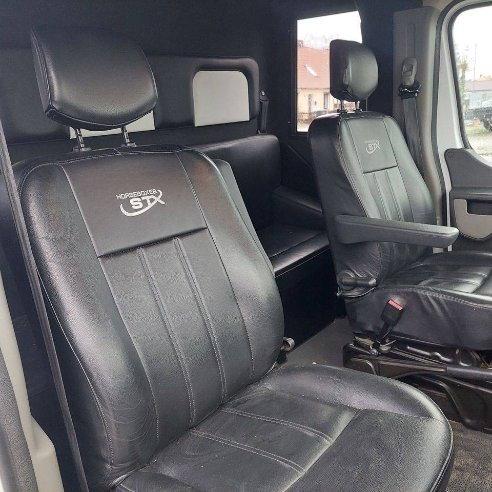 Van per Cavalli Opel Movano 2018 Occasione