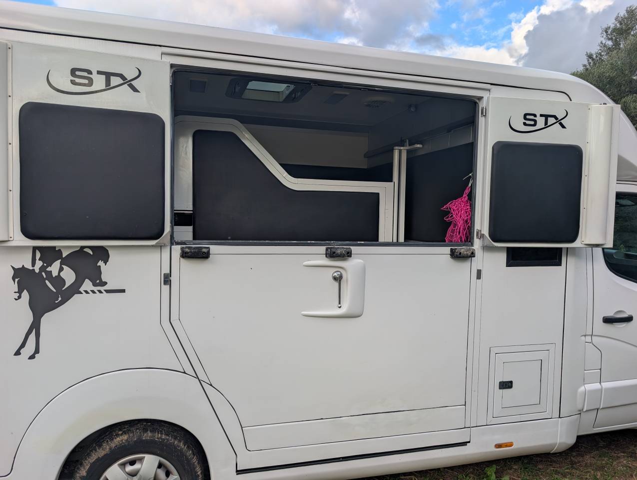 Van per Cavalli Opel Movano 2018 Occasione